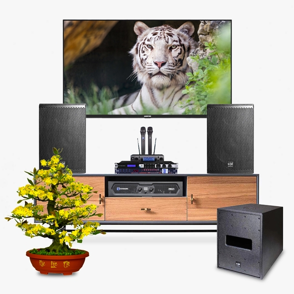 Dàn karaoke LA025 (SE Audiotechnik COX 8 + SE M-F3 SUB + Crown KVS300 + JBL KX180A + JBL VM300 + Kiwi S803)