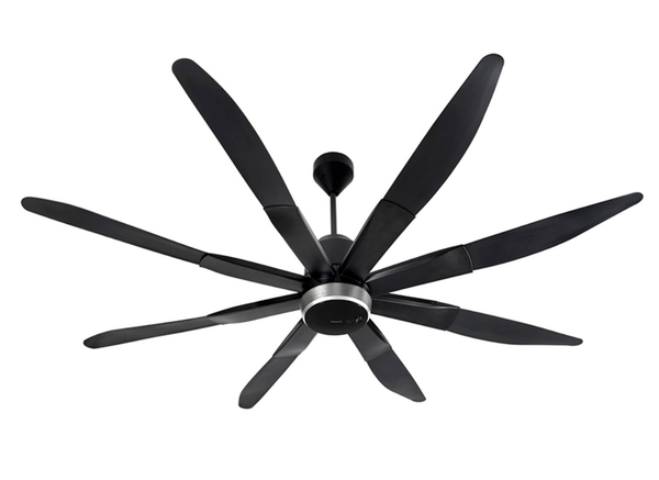 Quạt trần 8 cánh Panasonic F-80ZBR