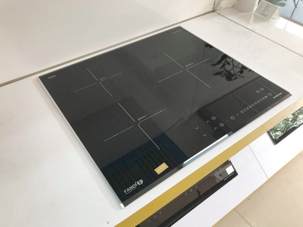 Bếp từ Fandi nhập khẩu Malaysia FD-839 MRI