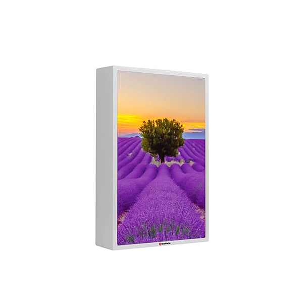 Loa tranh Sumico Canvas 1008