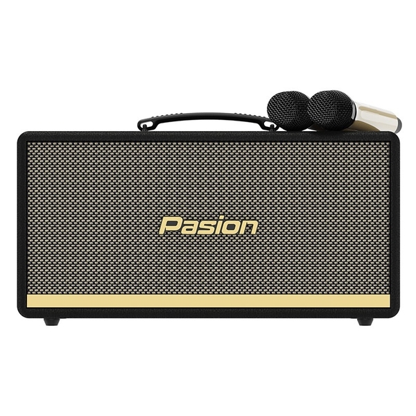 Loa Paramax Pasion 2