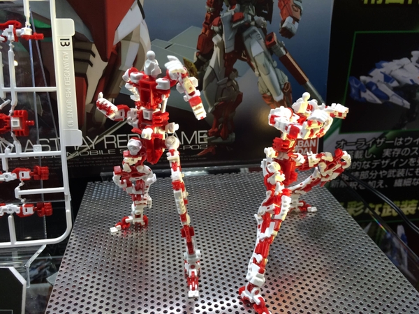 RG 1/144 GUNDAM ASTRAY RED FRAME
