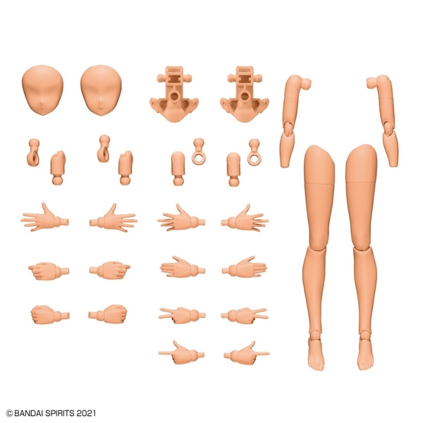PHỤ KIỆN 30MS OPTION BODY PARTS (Arm Parts & Leg Parts) [Color C]
