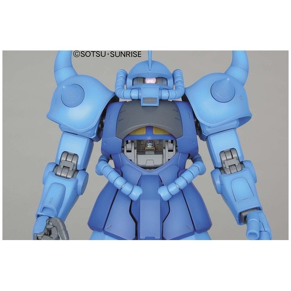 MG 1/100 GOUF Ver. 2.0
