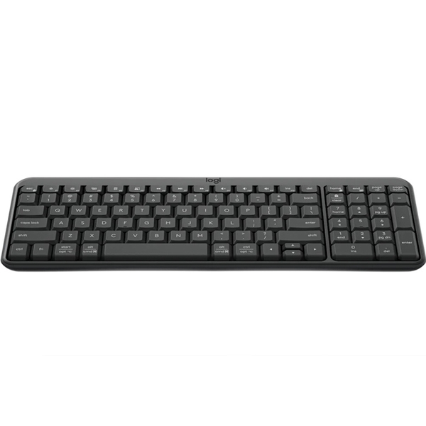 Bàn phím Logitech K251 đen