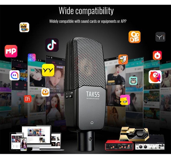 Micro Thu Âm Takstar TAK55
