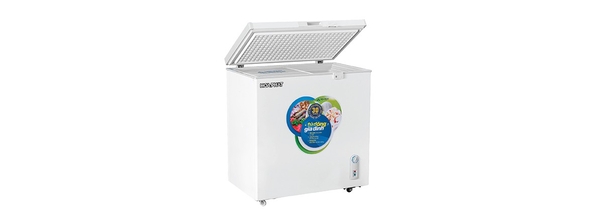 Tủ đông Hòa Phát 162 lít HCF 336S1N