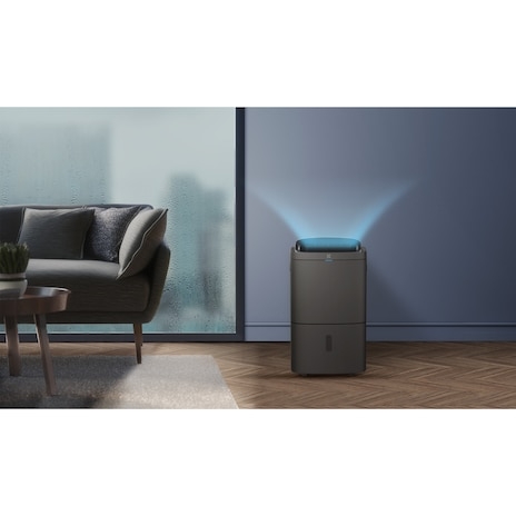 Máy hút ẩm Electrolux EDH14TRBD2
