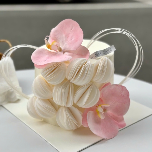 Hộp 120 miếng giấy gạo cắt sẵn (đường kính 5cm)-MÀU TRẮNG.