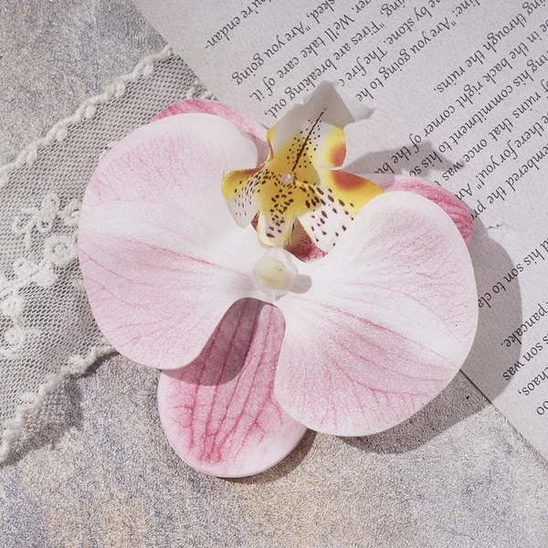Hoa lan hồ điệp-trắng pha hồng (kt 8cm).
