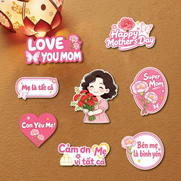 Combo 5 set giấy SX-Mẹ áo hồng ôm hoa đỏ.