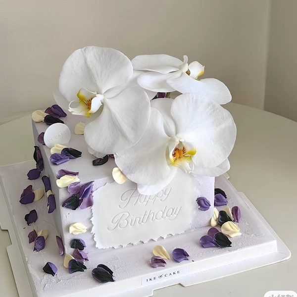 Hoa lan hồ điệp-TRẮNG nhụy vàng nhạt (kt 8cm).