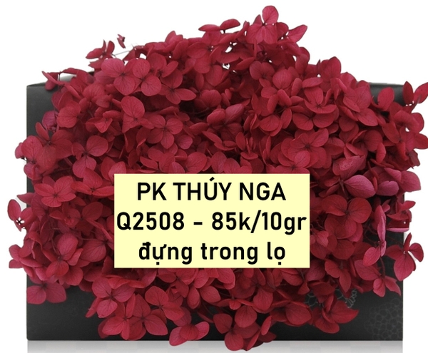 Hoa khô cẩm tú cầu-đỏ (10gam).