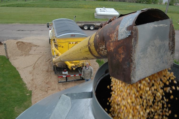 Grain Marketing Lessons From 2025 to Guide Your 2026 Strategy