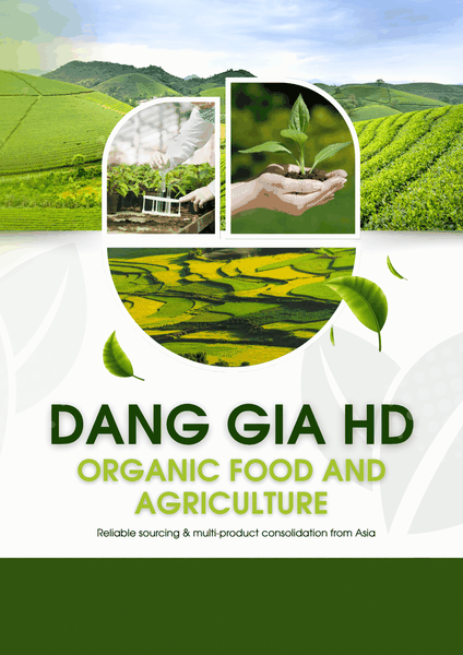 Maximize Your Trading Profits with Mixed Container Solutions from Dang Gia HD