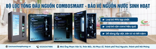 Hoa Phượng Company