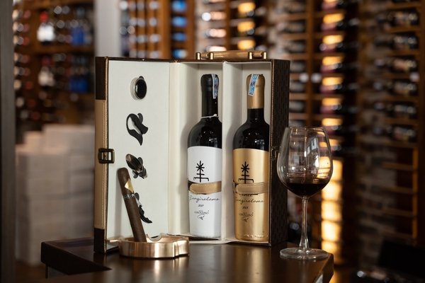 Thiết kế vượt thời gian – Sang trọng trong từng chi tiết 