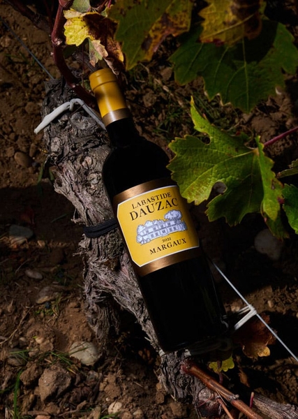 Lịch sử phát triển của Chateau Dauzac 