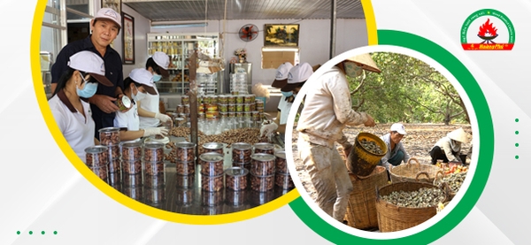 Công ty TNHH một thành viên sản xuất Hoàng Phú