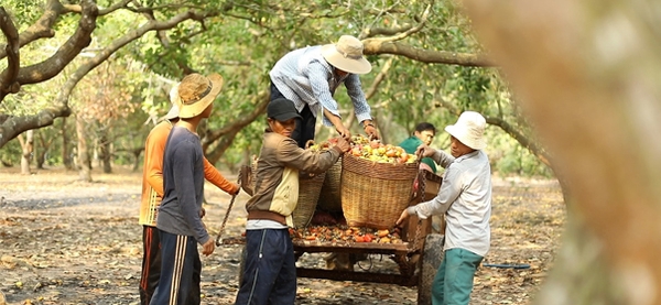 Công ty TNHH một thành viên sản xuất Hoàng Phú