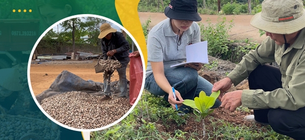 Công ty TNHH một thành viên sản xuất Hoàng Phú