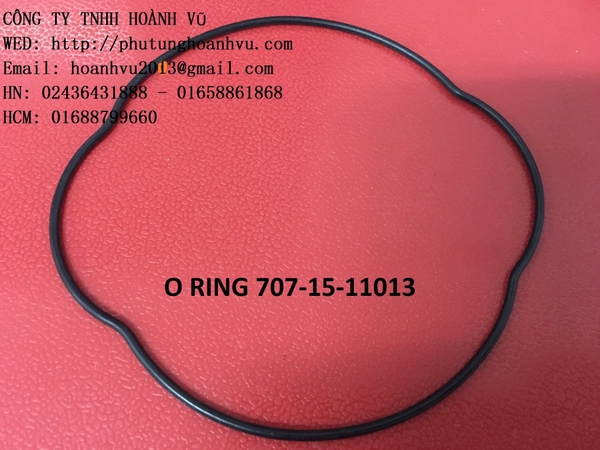 GIOĂNG QUẢ CHÁM BƠM KHIỂN PC75