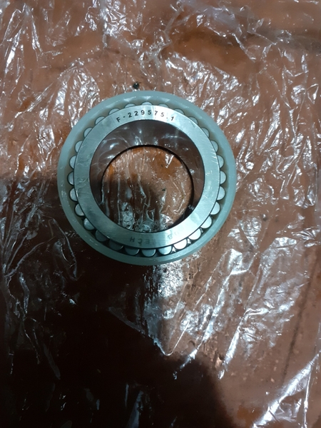 BI CHẤU R1400-7 R1300 112.06.008.02 DB