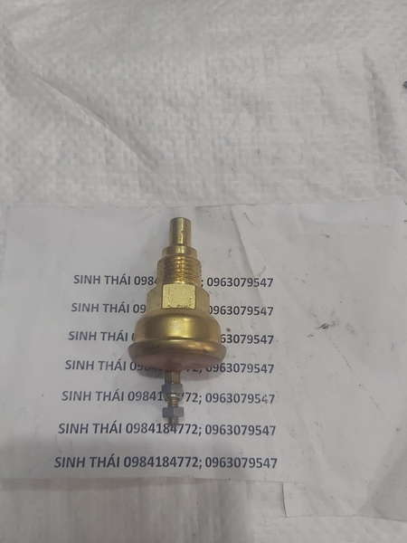 Cảm biến nước SK200-6 loại to 1 chân TTQ