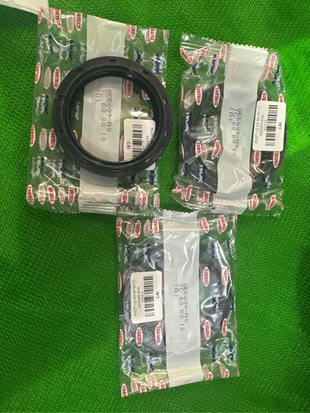 PHỚT LÒ XO 60*80*10 AEE699 NOK
