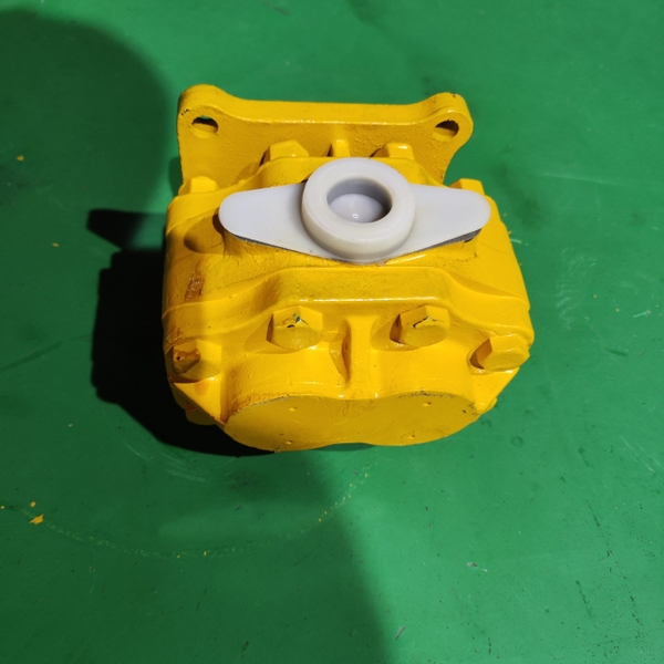 BƠM SỐ D50/53/58/65 13T*4BL D24*105  Q.PHẢI K42 - JPC