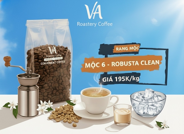 CÀ PHÊ HẠT RANG - MỘC 6