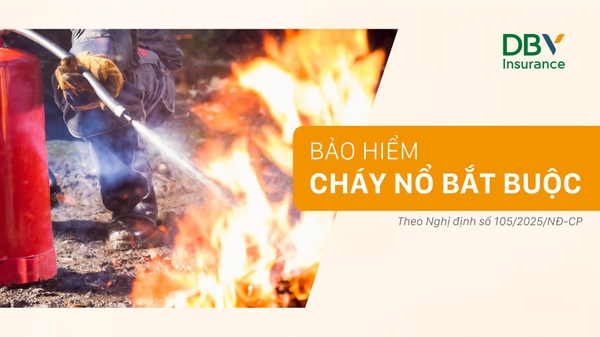 MỨC PHẠT MỚI KHI KHÔNG THAM GIA BẢO HIỂM CHÁY NỔ BẮT BUỘC TỪ 1/7/2025
