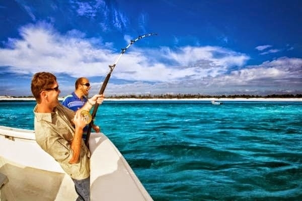 So sánh máy câu ngang và máy câu đứng: Nên chọn loại nào?