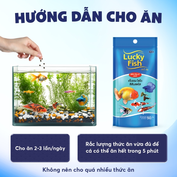 Thức ăn cho cá cảnh LUCKY FISH - 3