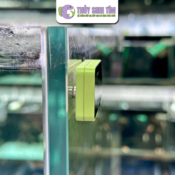 Nhiệt kế điện tử LED - 4