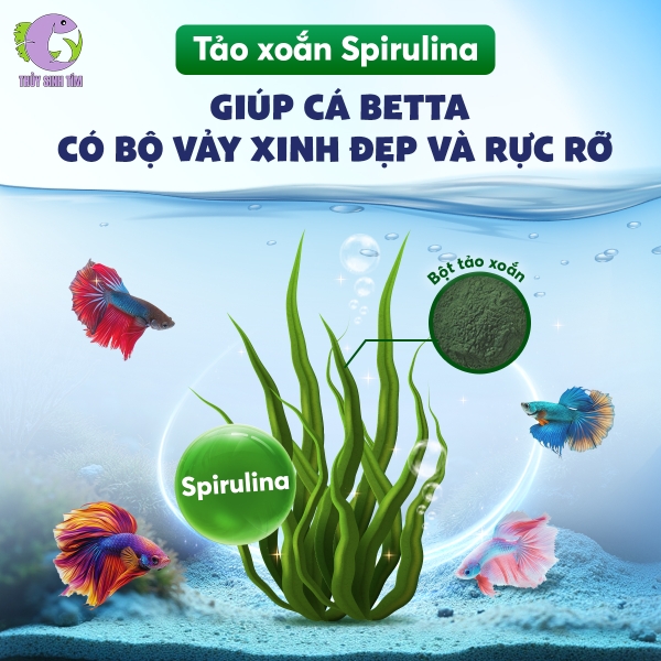 Thức ăn cho cá betta OPTIMUM - 2