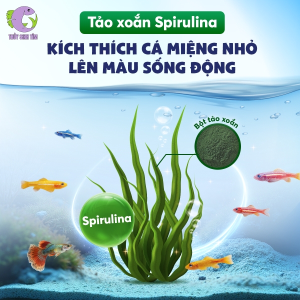 Thức ăn cho cá miệng nhỏ OPTIMUM micro pellet - 2
