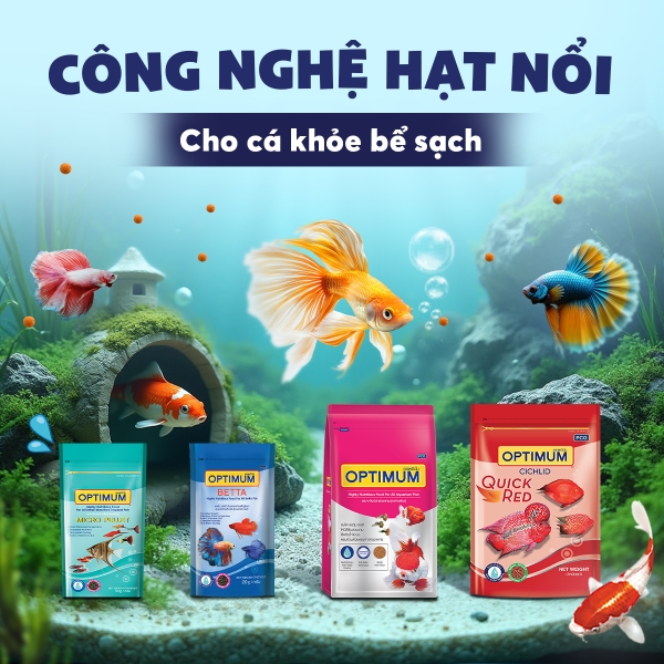 Thức ăn cho mọi loại cá cảnh OPTIMUM (size hạt 1.4mm) - 3