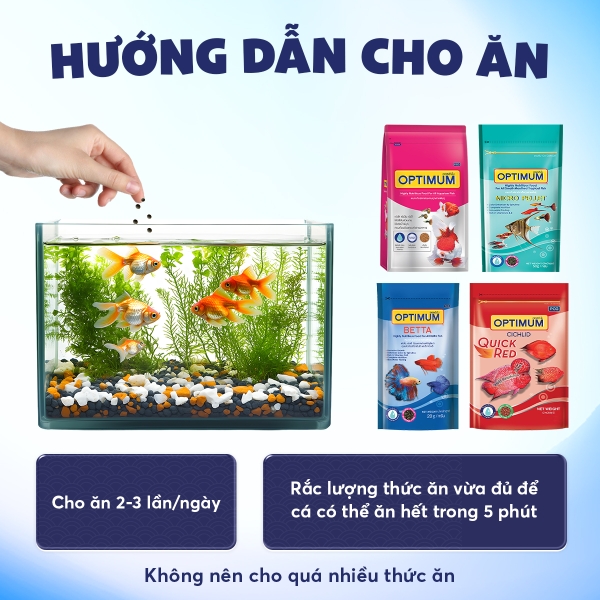 Thức ăn cho cá miệng nhỏ OPTIMUM micro pellet - 4