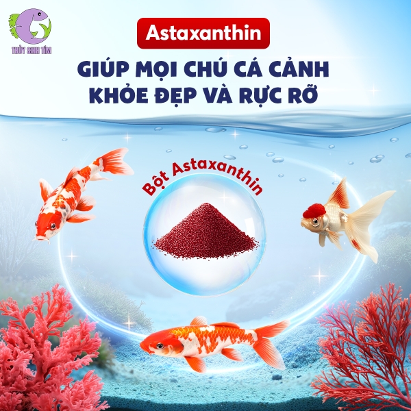 Thức ăn cho mọi loại cá cảnh OPTIMUM (size hạt 1.4mm) - 5