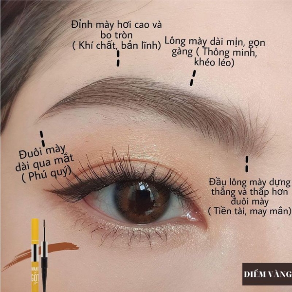 Máy Thần Thánh GT Chỉnh Tốc Độ Không Tích Điện Phun Sương Dải Hạt Tự Nhiên