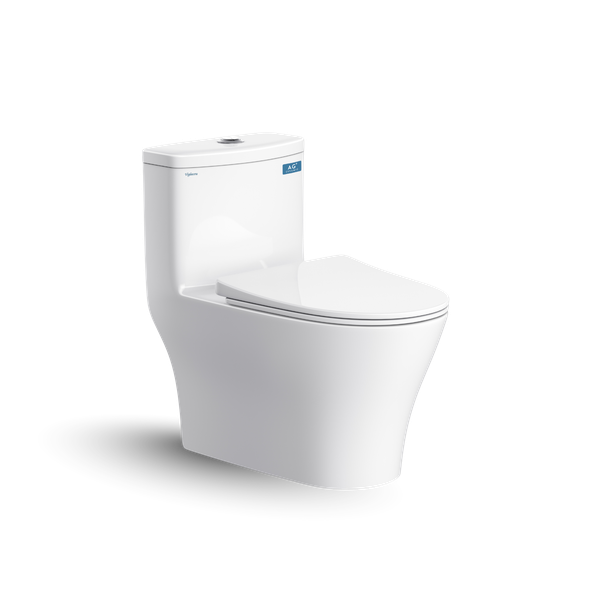 Bàn cầu một khối V36