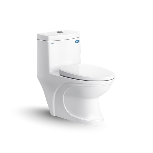 Bàn cầu một khối V39M