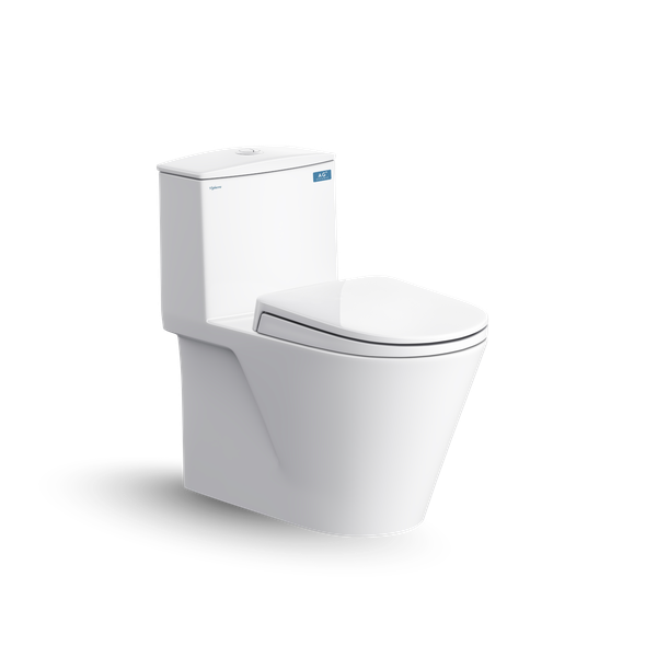 Bàn cầu một khối V817