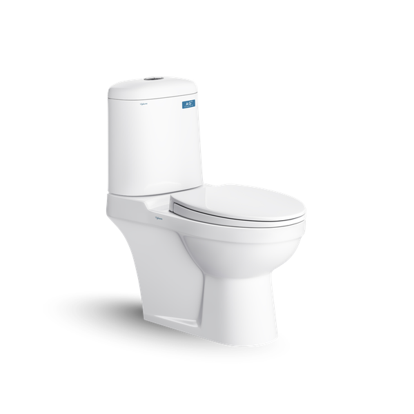 Bàn cầu hai khối VI107