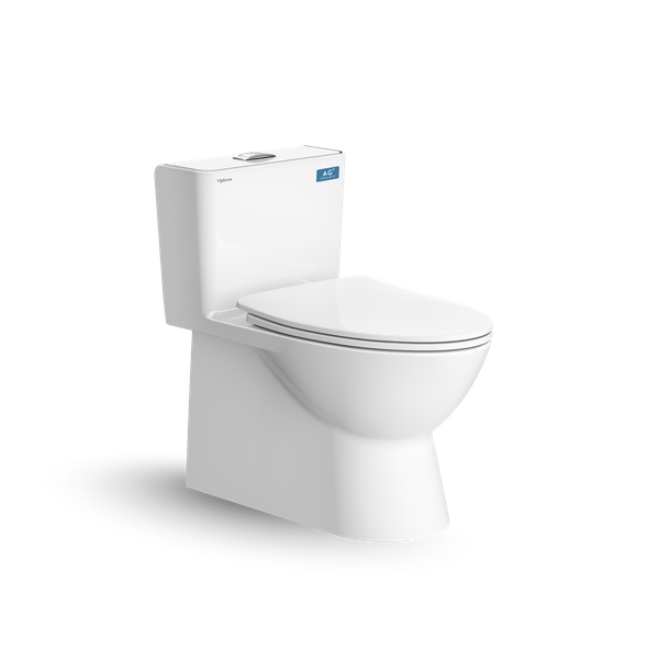 Bàn cầu một khối V808