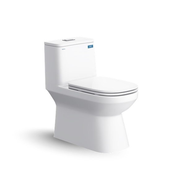 Bàn cầu một khối V816