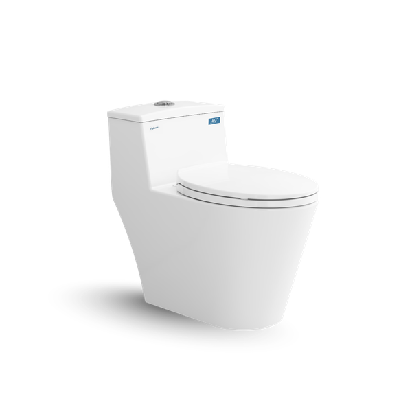 Bàn cầu một khối V823