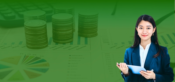 Kế toán Việt Anh