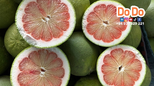 Pomelo: Nutrient-Rich Fruit Benefits Overview | DODO FOOD